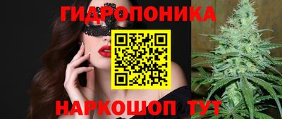 индика Краснодар