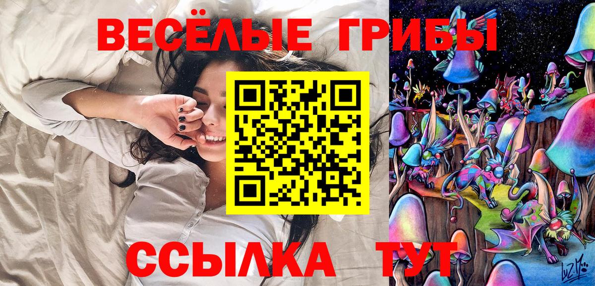 Псилоцибиновые грибы Psilocybe Карпинск